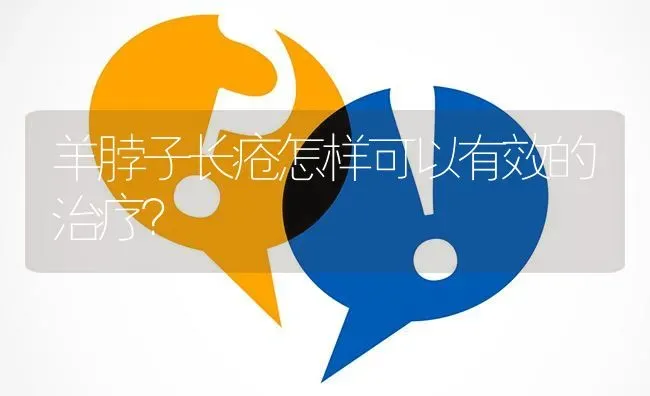 羊脖子长疮怎样可以有效的治疗? | 养殖问题解答