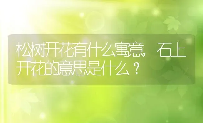 松树开花有什么寓意,石上开花的意思是什么？ | 养殖常见问题