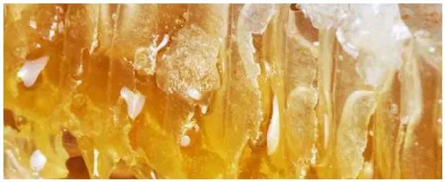 蜂巢蜜是什么蜜？ | 三农答疑