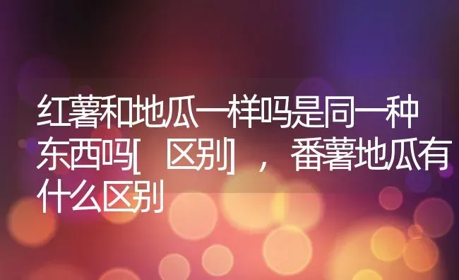 红薯和地瓜一样吗是同一种东西吗[区别],番薯地瓜有什么区别 | 养殖常见问题