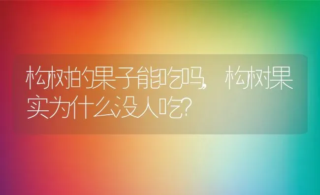 桔梗花的花语,说谎的桔梗花什么意思？ | 养殖常见问题