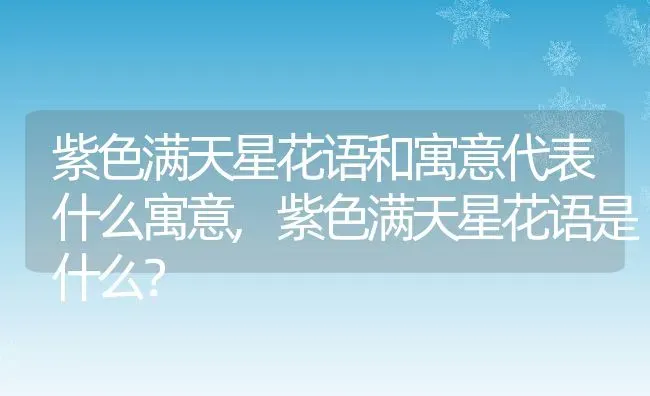 紫色满天星花语和寓意代表什么寓意,紫色满天星花语是什么？ | 养殖常见问题