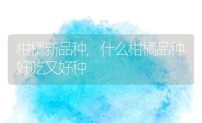 柑橘新品种,什么柑橘品种好吃又好种 | 养殖常见问题