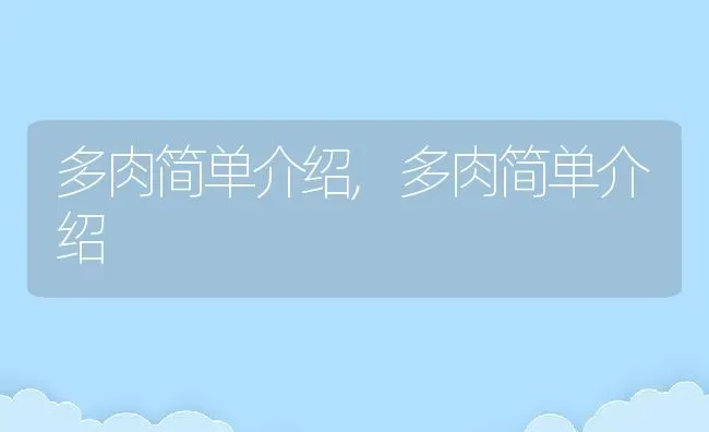 多肉简单介绍,多肉简单介绍 | 养殖常见问题