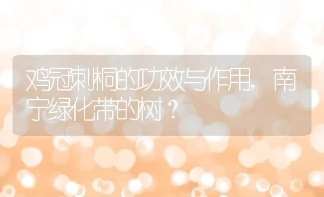 鸡冠刺桐的功效与作用,南宁绿化带的树？ | 养殖常见问题