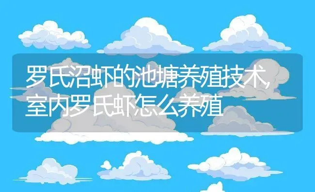 罗氏沼虾的池塘养殖技术,室内罗氏虾怎么养殖 | 养殖常见问题