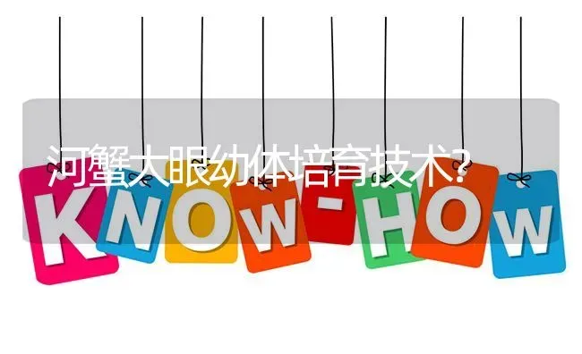 河蟹大眼幼体培育技术? | 养殖问题解答
