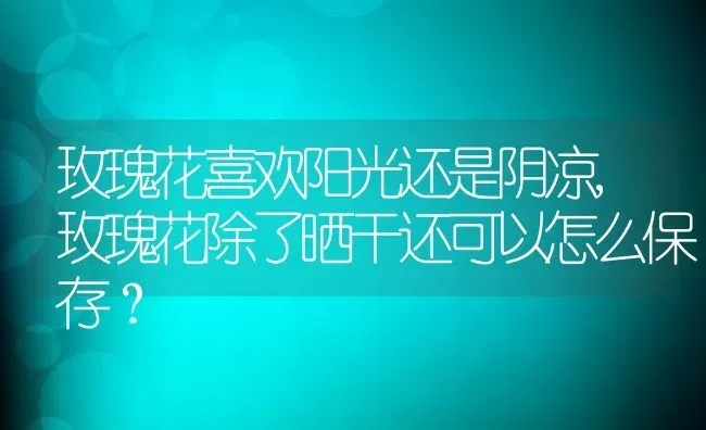 玫瑰花喜欢阳光还是阴凉,玫瑰花除了晒干还可以怎么保存？ | 养殖常见问题