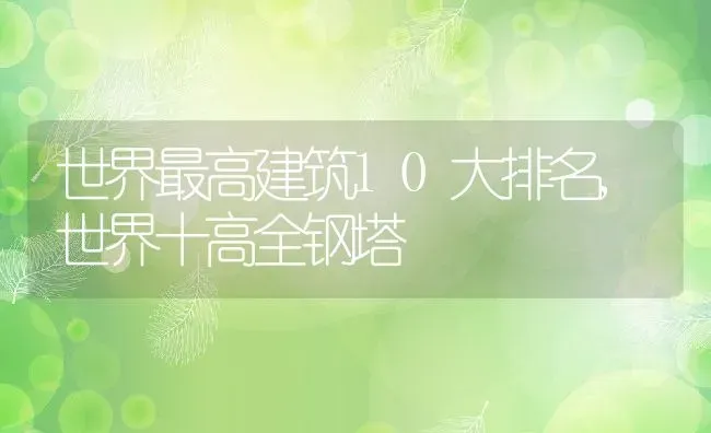 世界最高建筑10大排名,世界十高全钢塔 | 养殖常见问题