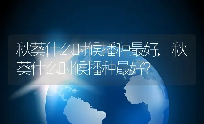 秋葵什么时候播种最好,秋葵什么时候播种最好？ | 养殖常见问题