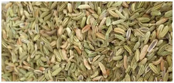 茴香是孜然吗 | 农业问题
