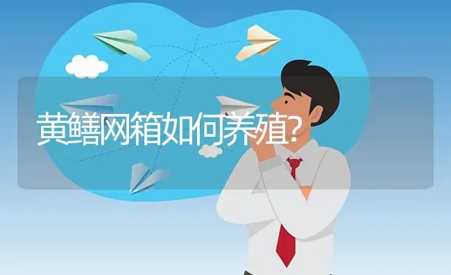 黄鳝网箱如何养殖? | 养殖问题解答