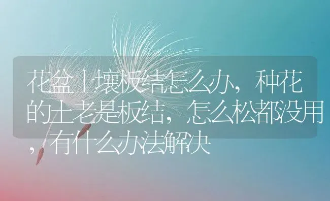 花盆土壤板结怎么办,种花的土老是板结，怎么松都没用，有什么办法解决 | 养殖常见问题