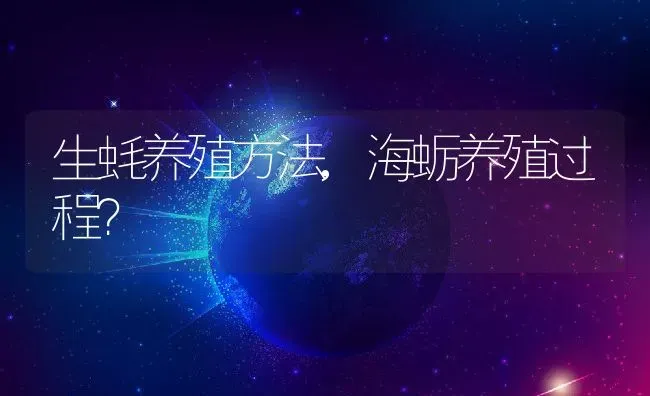 生蚝养殖方法,海蛎养殖过程？ | 养殖常见问题