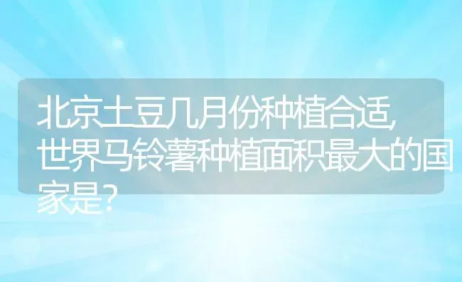 北京土豆几月份种植合适,世界马铃薯种植面积最大的国家是？ | 养殖常见问题