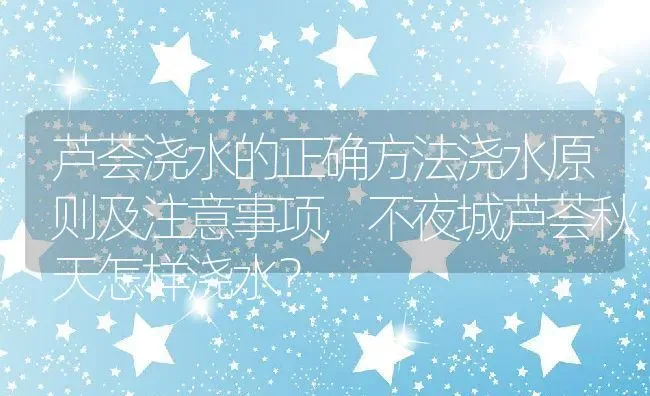 芦荟浇水的正确方法浇水原则及注意事项,不夜城芦荟秋天怎样浇水？ | 养殖常见问题