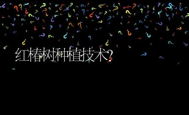 红椿树种植技术? | 养殖问题解答