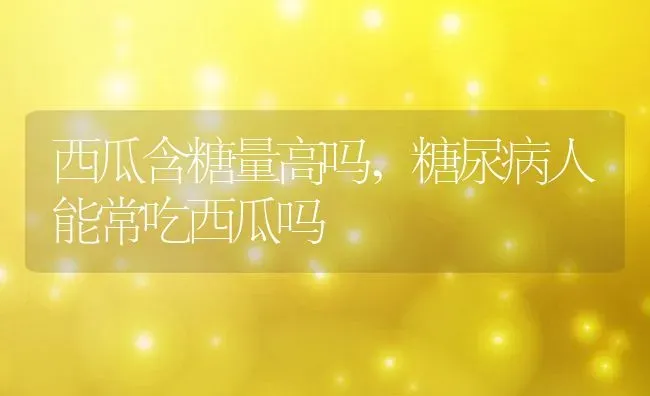 西瓜含糖量高吗,糖尿病人能常吃西瓜吗 | 养殖常见问题