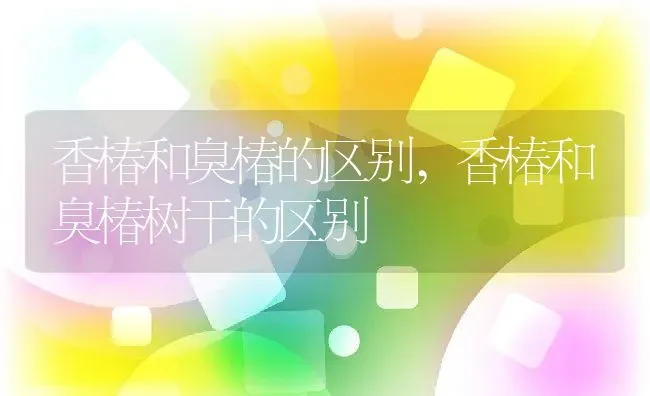 香椿和臭椿的区别,香椿和臭椿树干的区别 | 养殖常见问题