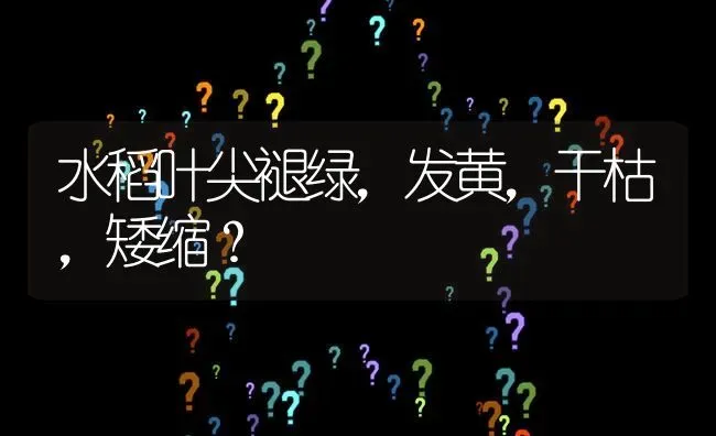 水稻叶尖褪绿,发黄,干枯,矮缩? | 养殖问题解答