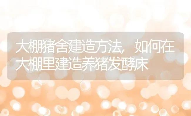 大棚猪舍建造方法,如何在大棚里建造养猪发酵床 | 养殖常见问题