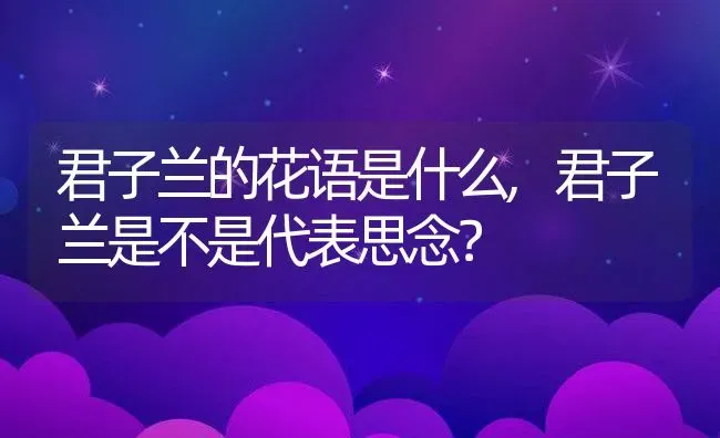 君子兰的花语是什么,君子兰是不是代表思念？ | 养殖常见问题