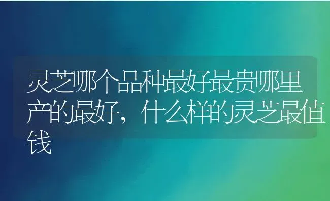 灵芝哪个品种最好最贵哪里产的最好,什么样的灵芝最值钱 | 养殖常见问题