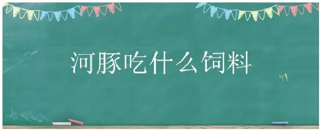 河豚吃什么饲料 | 农业答疑