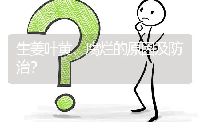 生姜叶黄、腐烂的原因及防治? | 养殖问题解答