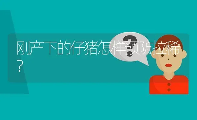 刚产下的仔猪怎样预防拉稀? | 养殖问题解答