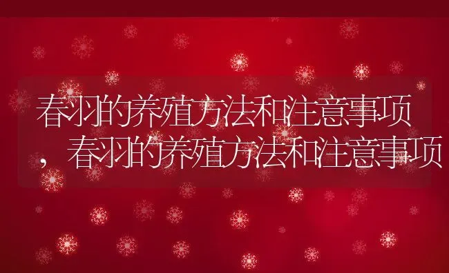春羽的养殖方法和注意事项,春羽的养殖方法和注意事项 | 养殖常见问题