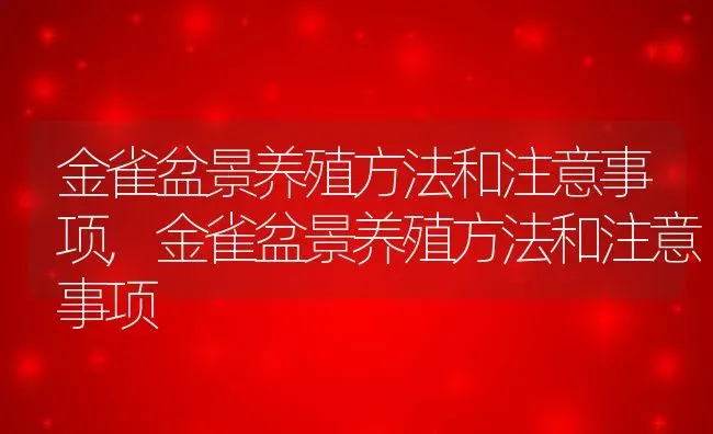 金雀盆景养殖方法和注意事项,金雀盆景养殖方法和注意事项 | 养殖常见问题