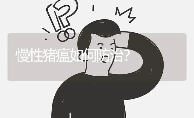 慢性猪瘟如何防治? | 养殖问题解答