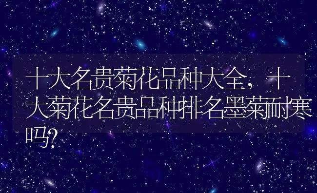 十大名贵菊花品种大全,十大菊花名贵品种排名墨菊耐寒吗？ | 养殖常见问题