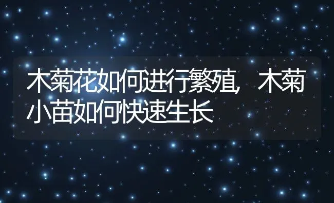 木菊花如何进行繁殖,木菊小苗如何快速生长 | 养殖常见问题