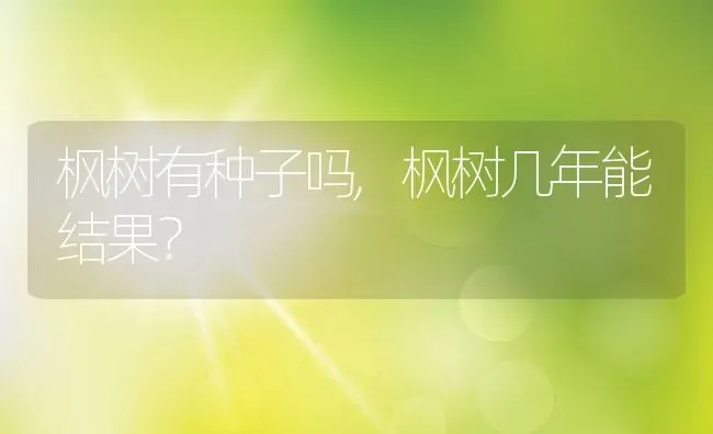 枫树有种子吗,枫树几年能结果？ | 养殖常见问题