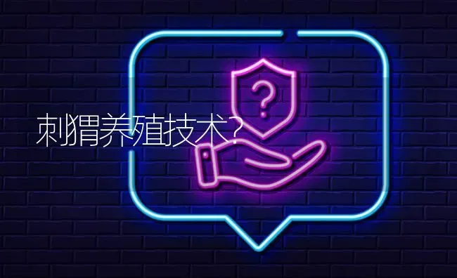 刺猬养殖技术? | 养殖问题解答