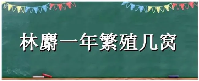 林麝一年繁殖几窝 | 三农答疑