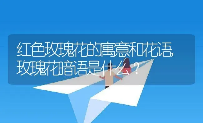 红色玫瑰花的寓意和花语,玫瑰花暗语是什么？ | 养殖常见问题