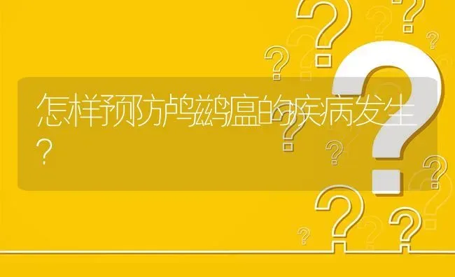 怎样预防鸬鹚瘟的疾病发生? | 养殖问题解答