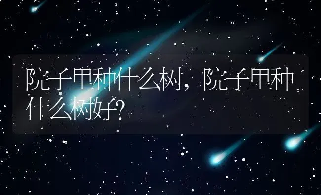 院子里种什么树,院子里种什么树好？ | 养殖常见问题