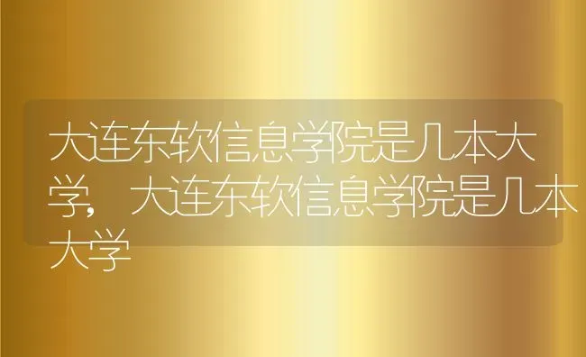 大连东软信息学院是几本大学,大连东软信息学院是几本大学 | 养殖常见问题