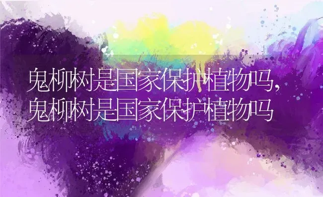 鬼柳树是国家保护植物吗,鬼柳树是国家保护植物吗 | 养殖常见问题