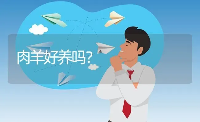 肉羊好养吗? | 养殖问题解答