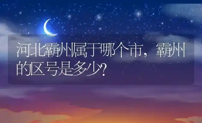 河北霸州属于哪个市,霸州的区号是多少？ | 养殖常见问题
