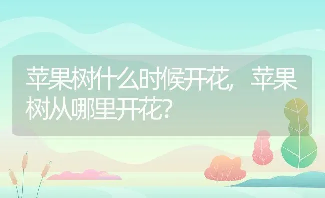 苹果树什么时候开花,苹果树从哪里开花？ | 养殖常见问题