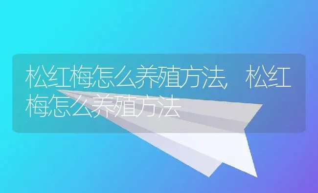 松红梅怎么养殖方法,松红梅怎么养殖方法 | 养殖常见问题