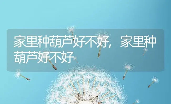 家里种葫芦好不好,家里种葫芦好不好 | 养殖常见问题