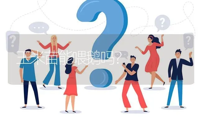 玉米苗能喂鹅吗? | 养殖问题解答