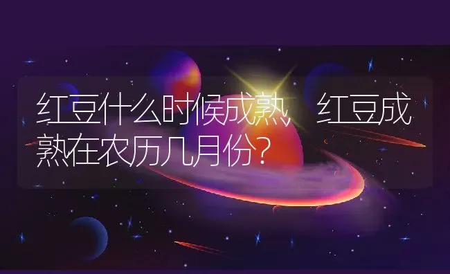 红豆什么时候成熟,红豆成熟在农历几月份？ | 养殖常见问题